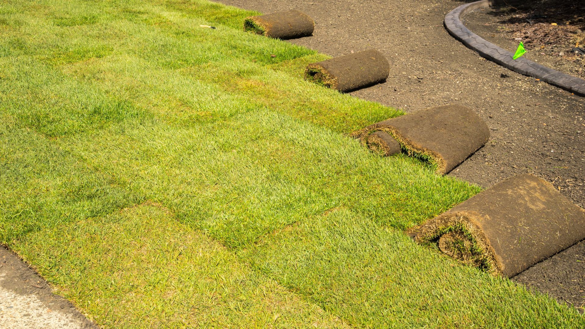 Sod Installation Service