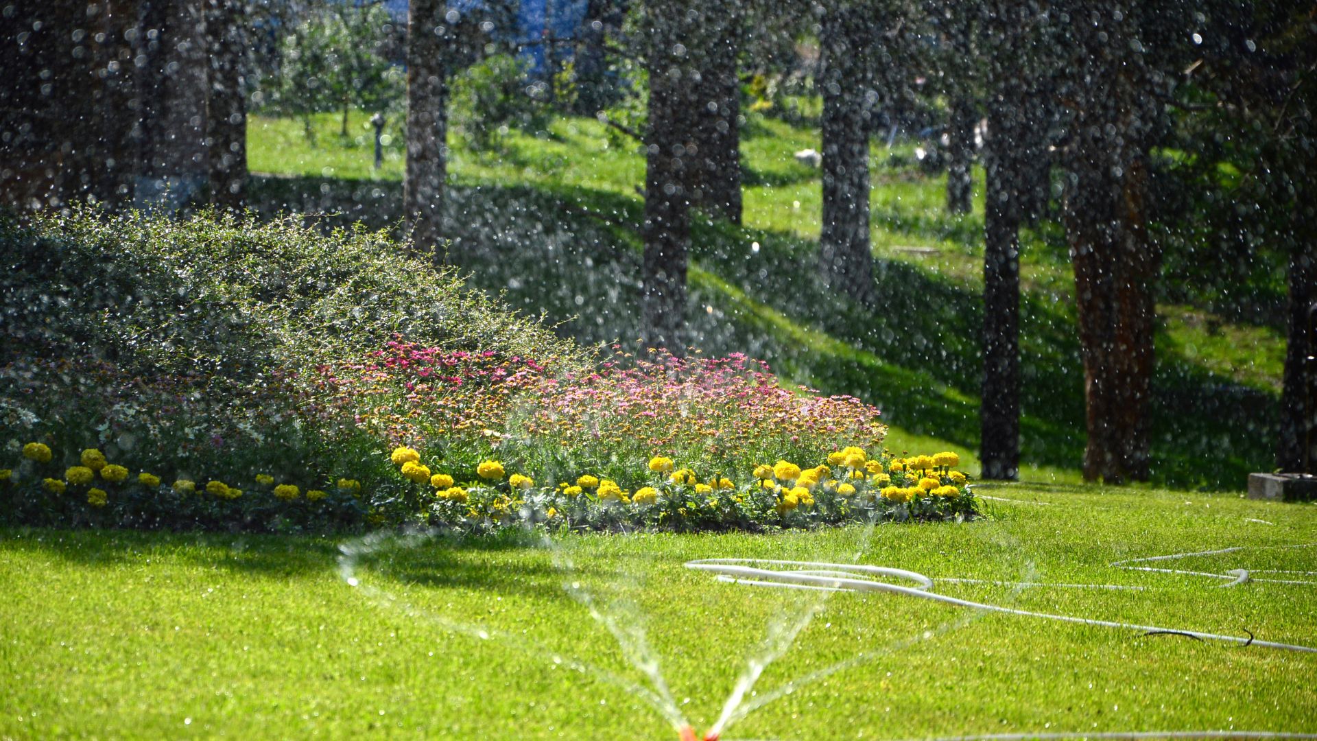 Sprinkler Installation and Repair